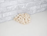 1" Aurora - 50 Pack - Sola Wood Flowers