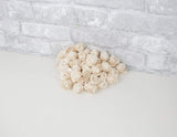 1" Aurora - 50 Pack - Sola Wood Flowers