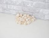 1" Bali - 50 Pack - Sola Wood Flowers