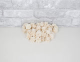 1" Bali - 50 Pack - Sola Wood Flowers