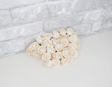 1" Bird Rose - 50 Pack
