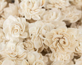 1" Dahlia - 50 Pack - Sola Wood Flowers