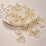 100 Petal Pack - All Natural - Sola Wood Flowers