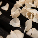 100 Petal Pack - All Natural - Sola Wood Flowers