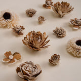 100 Random Assortment (All Bark) - Sola Wood Flowers