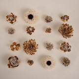 100 Random Assortment (All Bark) - Sola Wood Flowers
