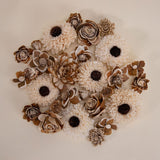 100 Random Assortment (All Bark) - Sola Wood Flowers