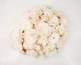 100 Random Assortment (No Bark) - Sola Wood Flowers