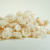 100 Random Assortment (No Bark) - Sola Wood Flowers