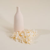 1.5" Alice (10 pack) - Sola Wood Flowers