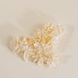 1.5" Alice (10 pack) - Sola Wood Flowers