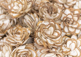 1.5" Almond - 50 Pack - Sola Wood Flowers