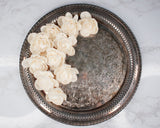 1.5" Amelia (10 Pack) - Sola Wood Flowers