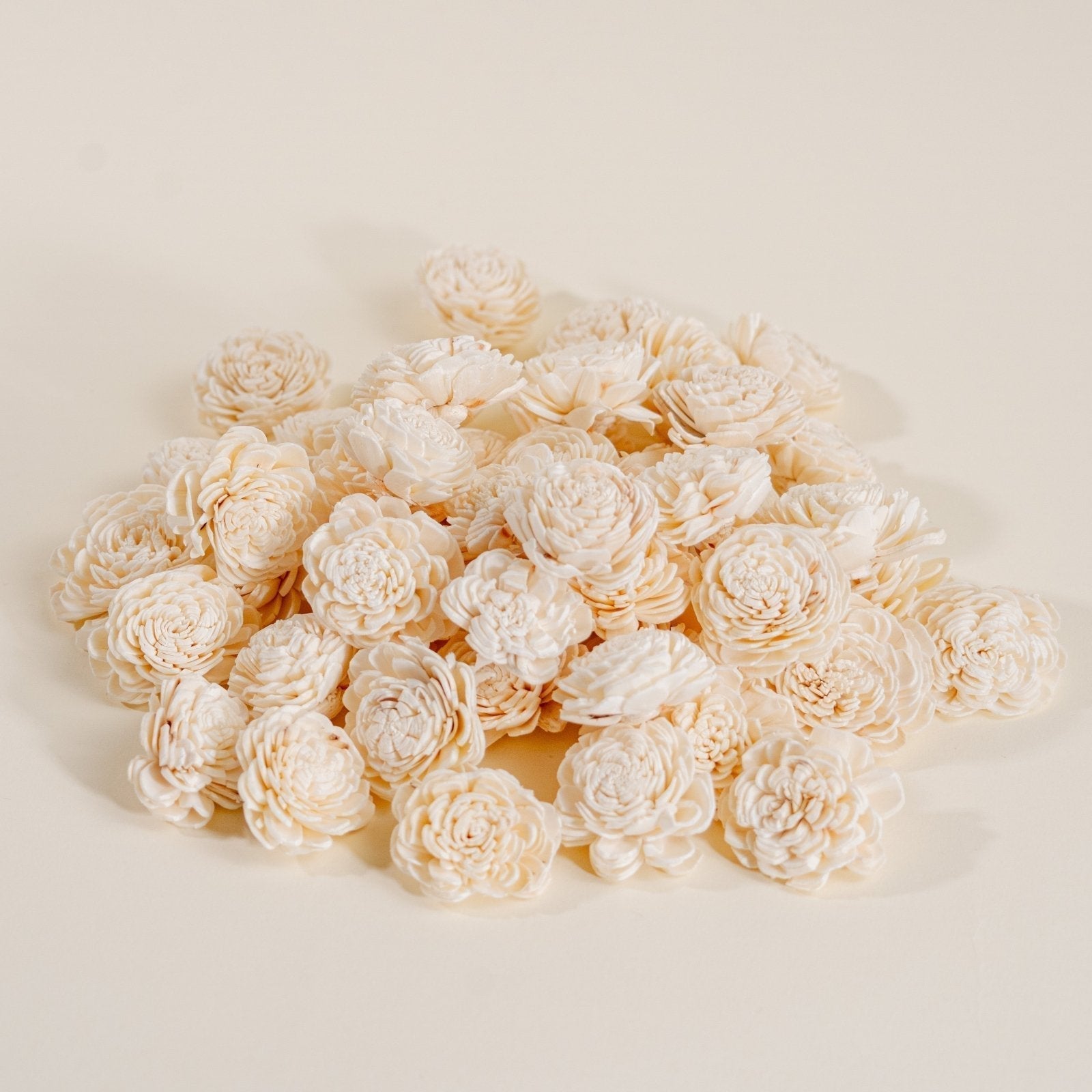 Products – Sola-Flowers Products – Sola-Flowers