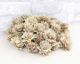 1.5" Bark Zinnia - 50 Pack - Sola Wood Flowers