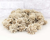 1.5" Bark Zinnia - 50 Pack - Sola Wood Flowers