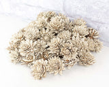 1.5" Bark Zinnia - 50 Pack - Sola Wood Flowers