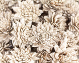 1.5" Bark Zinnia - 50 Pack - Sola Wood Flowers