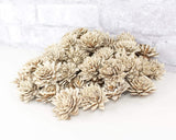 1.5" Bark Zinnia - 50 Pack - Sola Wood Flowers