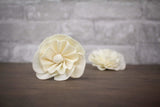1.5" Beatrice (10 pack) - Sola Wood Flowers