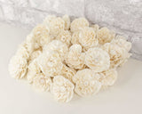 1.5" Beatrice - 50 Pack - Sola Wood Flowers