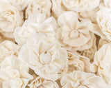 1.5" Beatrice - 50 Pack - Sola Wood Flowers