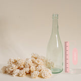 1.5" Carnation - 50 Pack - Sola Wood Flowers