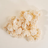 1.5" Carnation - 50 Pack - Sola Wood Flowers