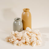 1.5" Carnation - 50 Pack - Sola Wood Flowers