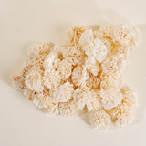 1.5" Carnation - 50 Pack - Sola Wood Flowers