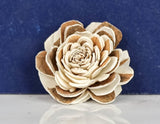 1.5" Chocolate Kiss (10 pack) - Sola Wood Flowers