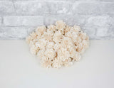 1.5" Dahlia- 50 Pack - Sola Wood Flowers