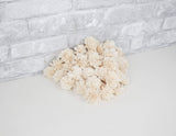1.5" Dahlia- 50 Pack - Sola Wood Flowers