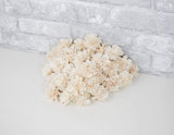 1.5" Dahlia- 50 Pack - Sola Wood Flowers