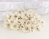 1.5" Daisy May - 50 Pack - Sola Wood Flowers