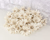 1.5" Daisy May - 50 Pack - Sola Wood Flowers