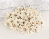1.5" Daisy May - 50 Pack - Sola Wood Flowers
