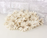 1.5" Daisy May - 50 Pack - Sola Wood Flowers