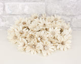 1.5" Daisy May - 50 Pack - Sola Wood Flowers