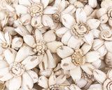 1.5" Distressed Daisy - 50 Pack - Sola Wood Flowers