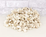 1.5" Distressed Daisy - 50 Pack - Sola Wood Flowers