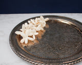 1.5" Dragonfly (10 Pack) - Sola Wood Flowers