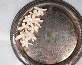 1.5" Dragonfly (10 Pack) - Sola Wood Flowers