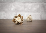 1.5" Finley (10 Pack) - Sola Wood Flowers