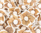 1.5" Hana - 50 Pack - Sola Wood Flowers