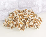 1.5" Hana - 50 Pack - Sola Wood Flowers