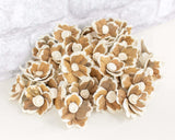 1.5" Hana - 50 Pack - Sola Wood Flowers