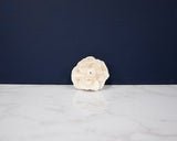1.5" Magnolia (10 Pack) - Sola Wood Flowers