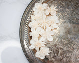 1.5" Maria (10 Pack) - Sola Wood Flowers
