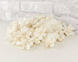 1.5" Maria - 50 Pack - Sola Wood Flowers